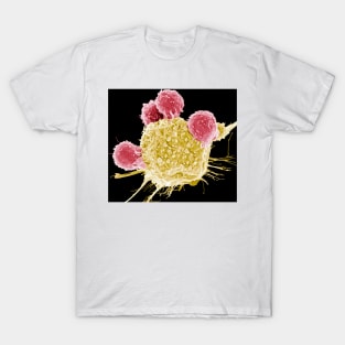 T lymphocytes and cancer cell, SEM (C001/1678) T-Shirt